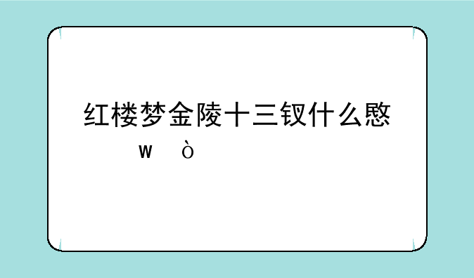 红楼梦金陵十三钗什么意思？