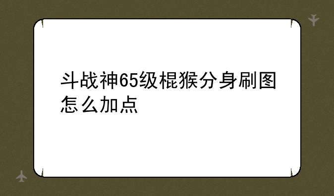 斗战神65级棍猴分身刷图怎么加点