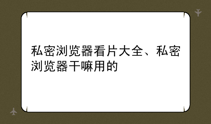 私密浏览器看片大全、私密浏览器干嘛用的